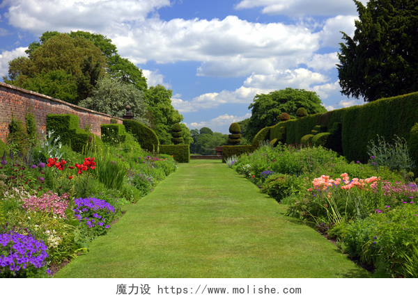 庄严家中的盆景灌木墙花园老墙的英式园林
